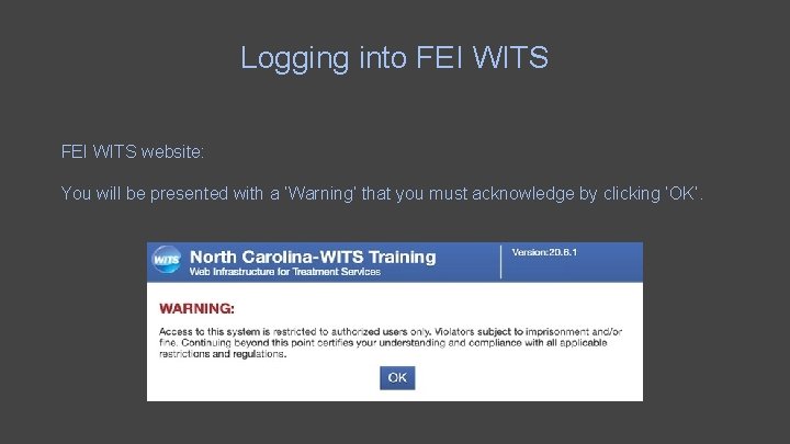 Logging into FEI WITS website: https: //nc. witsweb. org You will be presented with