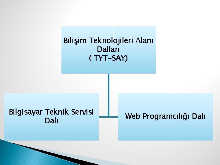 Bilişim Teknolojileri Alanı Dalları ( TYT-SAY) Bilgisayar Teknik Servisi Dalı Web Programcılığı Dalı 