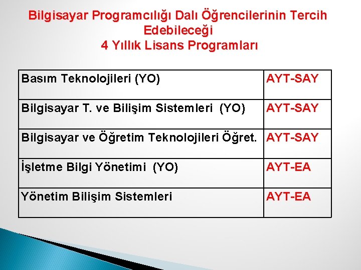 Bilgisayar Programcılığı Dalı Öğrencilerinin Tercih Edebileceği 4 Yıllık Lisans Programları Basım Teknolojileri (YO) AYT-SAY