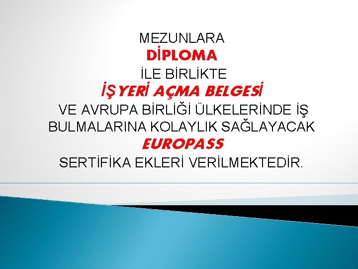 MEZUNLARA DİPLOMA İLE BİRLİKTE İŞYERİ AÇMA BELGESİ VE AVRUPA BİRLİĞİ ÜLKELERİNDE İŞ BULMALARINA KOLAYLIK