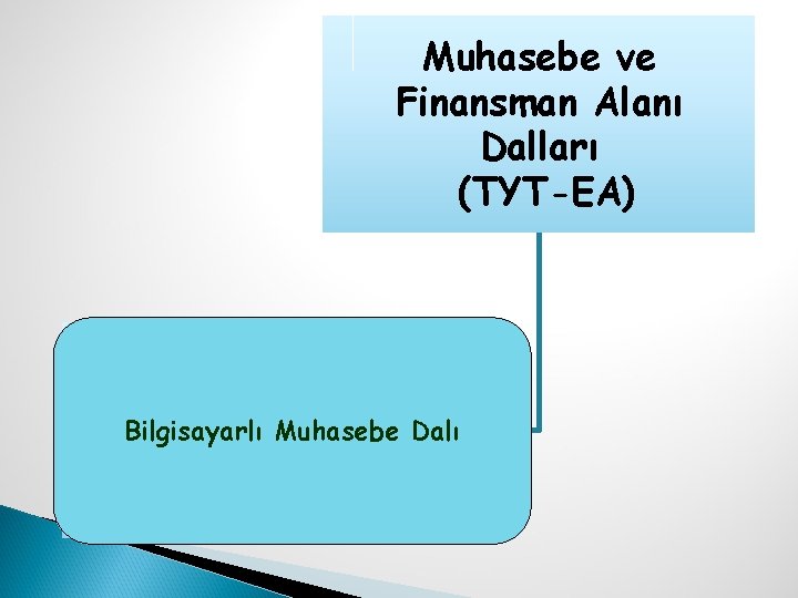 Muhasebe ve Finansman Alanı Dalları (TYT-EA) Bilgisayarlı Muhasebe Dalı Bilgisayarlı Muhasebe 