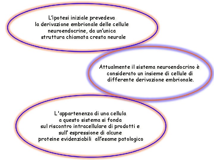 L’ipotesi iniziale prevedeva la derivazione embrionale delle cellule neuroendocrine, da un’unica struttura chiamata cresta