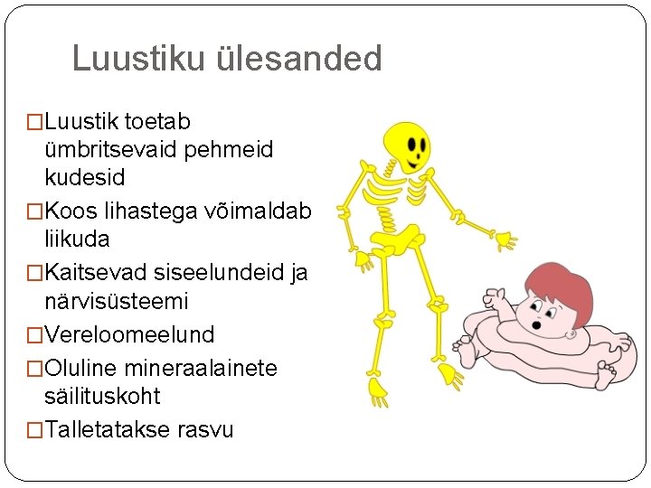 Luustiku ülesanded �Luustik toetab ümbritsevaid pehmeid kudesid �Koos lihastega võimaldab liikuda �Kaitsevad siseelundeid ja