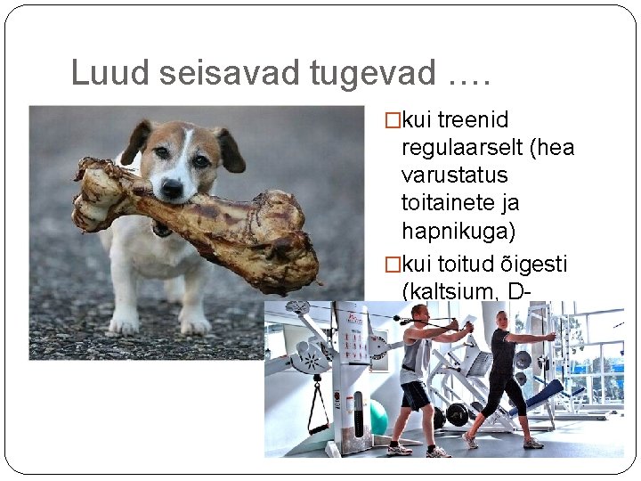 Luud seisavad tugevad …. �kui treenid regulaarselt (hea varustatus toitainete ja hapnikuga) �kui toitud