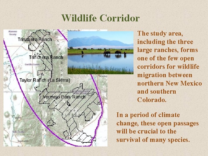 Wildlife Corridor The study area, including the three large ranches, forms one of the Wildlife Corridor The study area, including the three large ranches, forms one of the