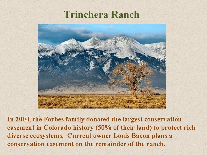 Trinchera Ranch In 2004, the Forbes family donated the largest conservation easement in Colorado Trinchera Ranch In 2004, the Forbes family donated the largest conservation easement in Colorado