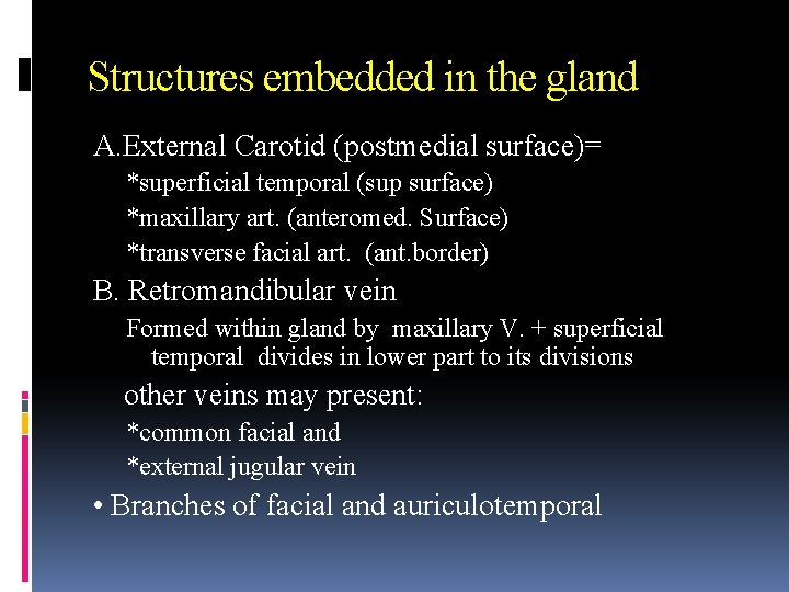 Structures embedded in the gland A. External Carotid (postmedial surface)= *superficial temporal (sup surface)