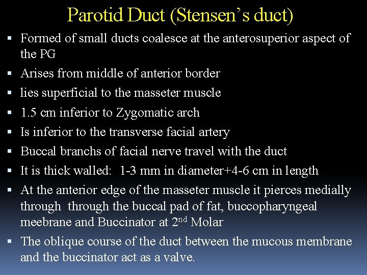 Parotid Duct (Stensen’s duct) Formed of small ducts coalesce at the anterosuperior aspect of