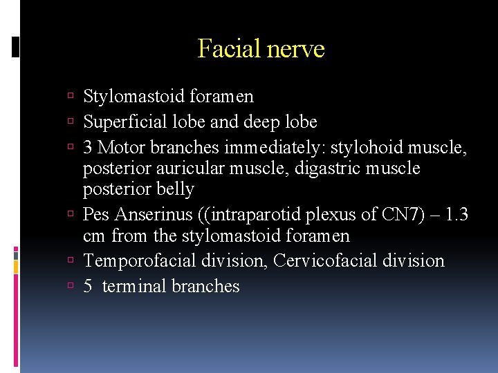 Facial nerve Stylomastoid foramen Superficial lobe and deep lobe 3 Motor branches immediately: stylohoid