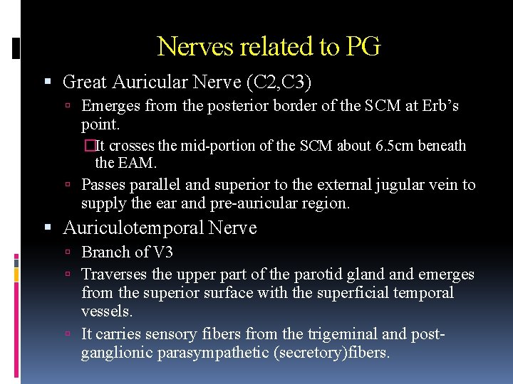 Nerves related to PG Great Auricular Nerve (C 2, C 3) Emerges from the