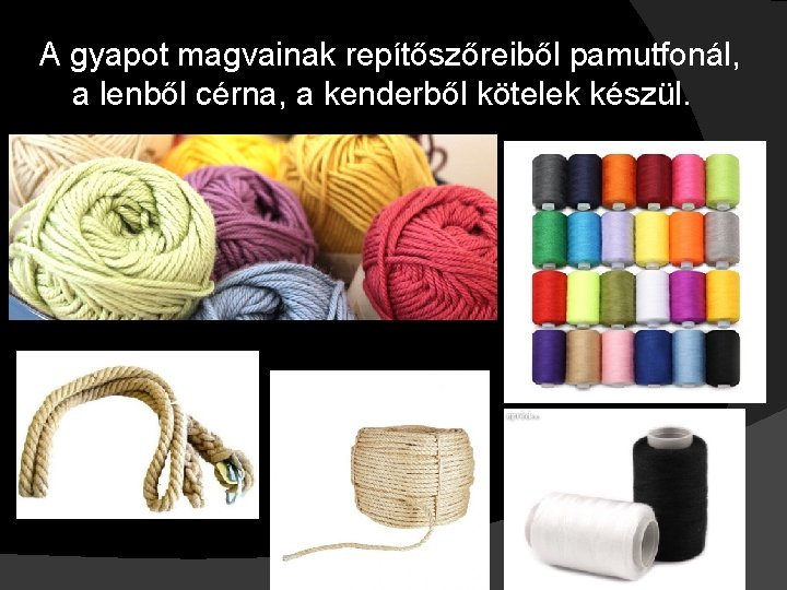 A gyapot magvainak repítőszőreiből pamutfonál, a lenből cérna, a kenderből kötelek készül. 