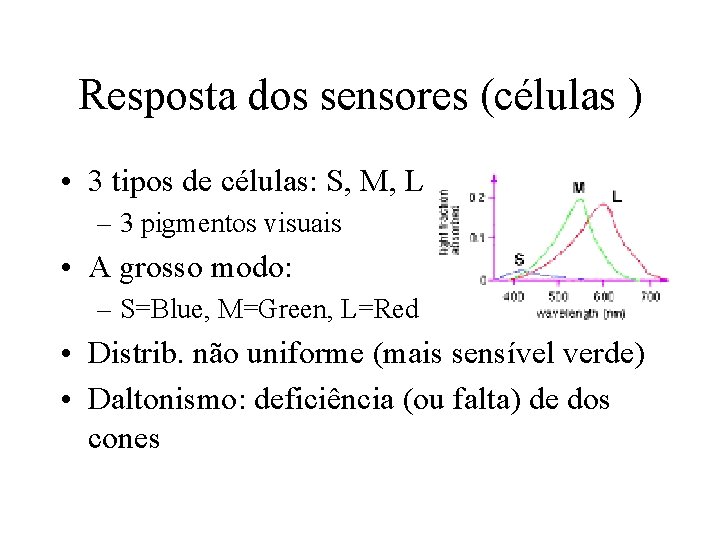 Resposta dos sensores (células ) • 3 tipos de células: S, M, L –