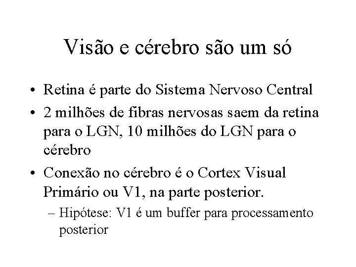 Visão e cérebro são um só • Retina é parte do Sistema Nervoso Central