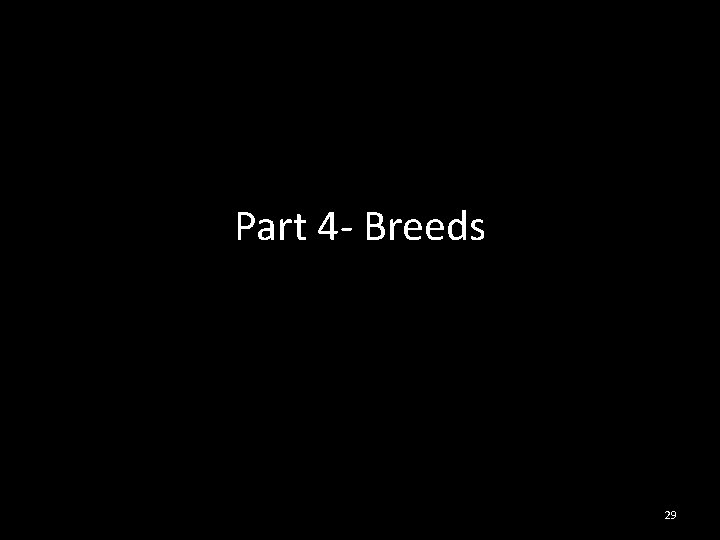 Part 4 - Breeds 29 