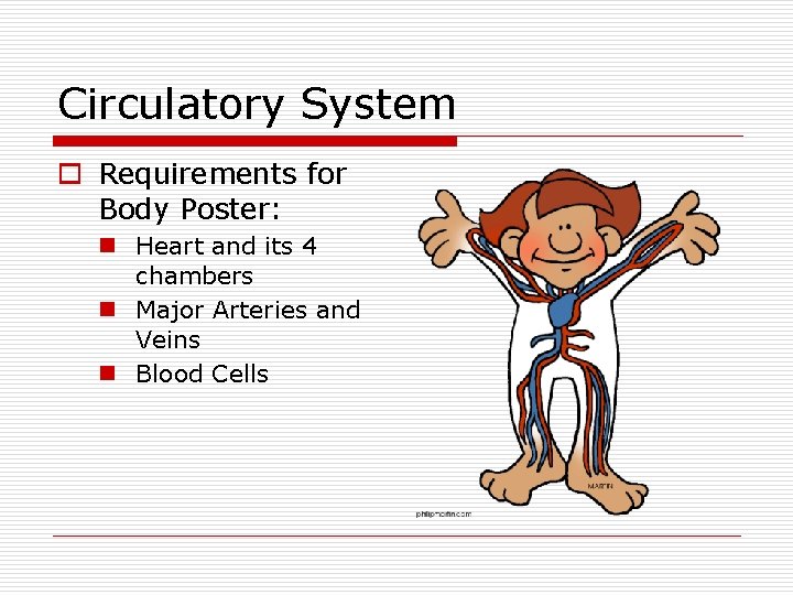 Circulatory System o Requirements for Body Poster: n Heart and its 4 chambers n