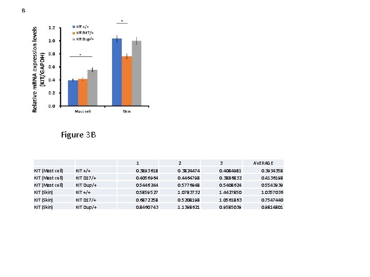 Figure 3 B KIT (Mast cell) KIT (Skin) KIT +/+ KIT D 17/+ KIT