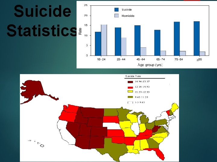 Suicide Statistics 