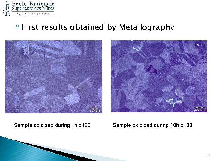  First results obtained by Metallography Sample oxidized during 1 h x 100 Sample