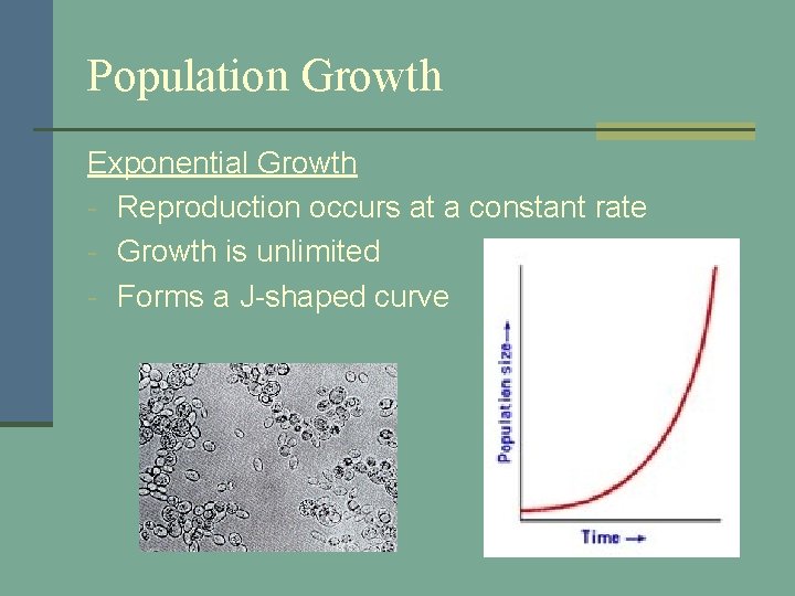 Population Growth Exponential Growth - Reproduction occurs at a constant rate - Growth is Population Growth Exponential Growth - Reproduction occurs at a constant rate - Growth is