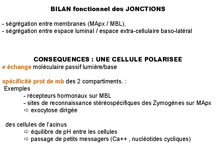 BILAN fonctionnel des JONCTIONS - ségrégation entre membranes (MApx / MBL), - ségrégation entre