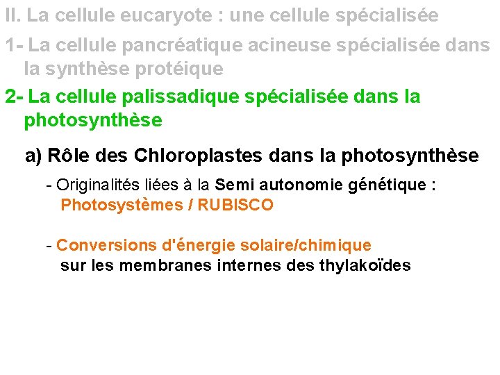 II. La cellule eucaryote : une cellule spécialisée 1 - La cellule pancréatique acineuse