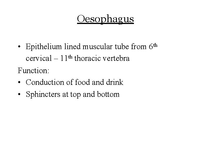Oesophagus • Epithelium lined muscular tube from 6 th cervical – 11 th thoracic