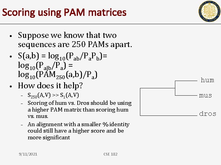 Scoring using PAM matrices • • • Suppose we know that two sequences are