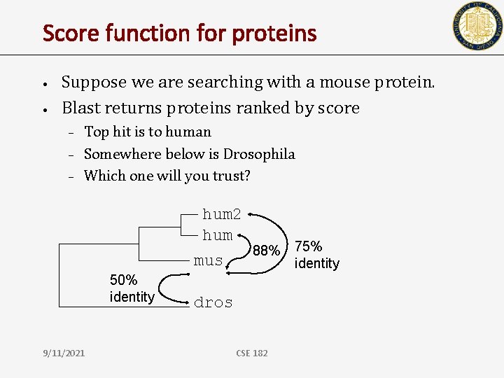 Score function for proteins • • Suppose we are searching with a mouse protein.