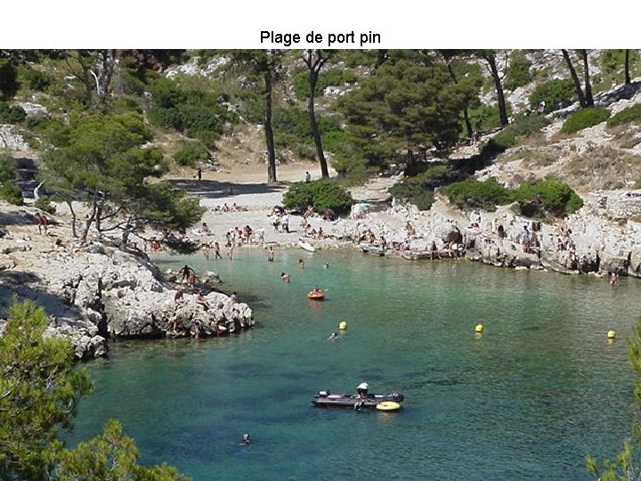 Plage de port pin 