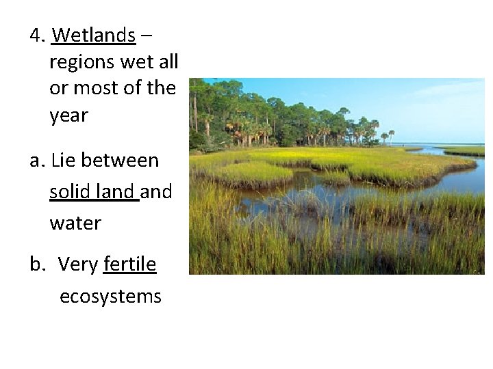 4. Wetlands – regions wet all or most of the year a. Lie between