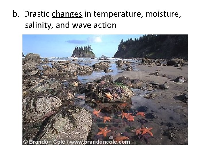 b. Drastic changes in temperature, moisture, salinity, and wave action 