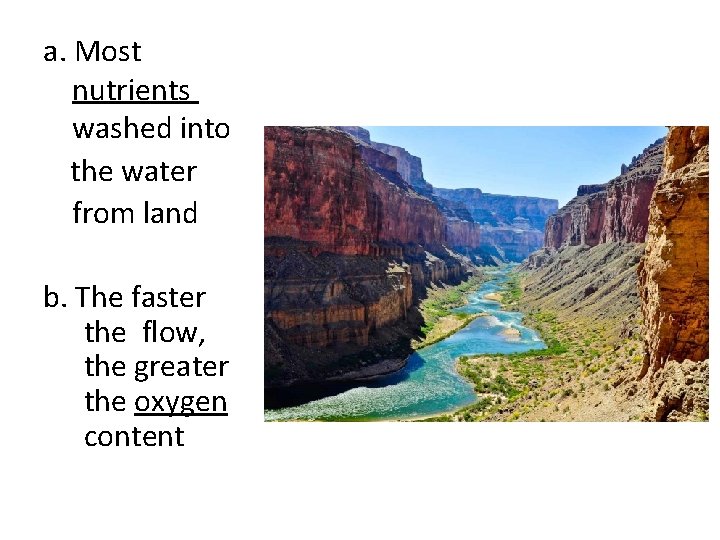 a. Most nutrients washed into the water from land b. The faster the flow,