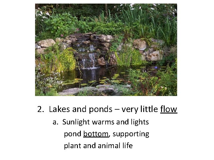 2. Lakes and ponds – very little flow a. Sunlight warms and lights pond