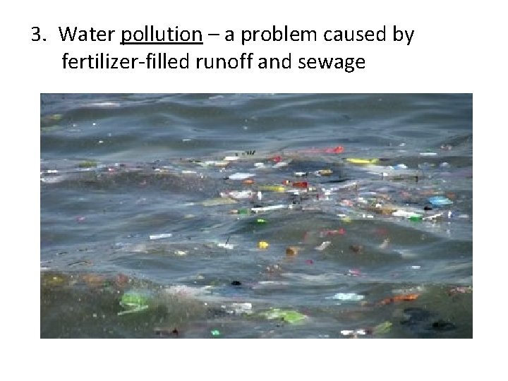 3. Water pollution – a problem caused by fertilizer-filled runoff and sewage 