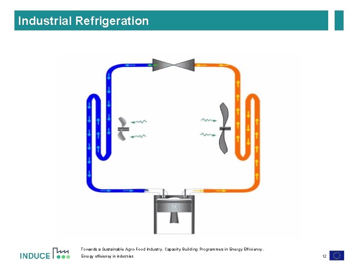Industrial Refrigeration Towards a Sustainable Agro-Food Industry. Capacity Building Programmes in Energy Efficiency. Energy