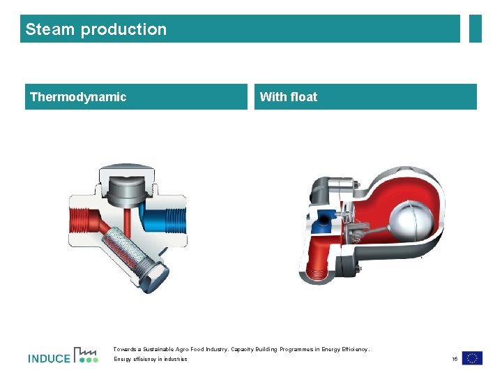 Steam production Thermodynamic With float Towards a Sustainable Agro-Food Industry. Capacity Building Programmes in