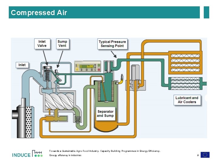 Compressed Air Towards a Sustainable Agro-Food Industry. Capacity Building Programmes in Energy Efficiency. Energy