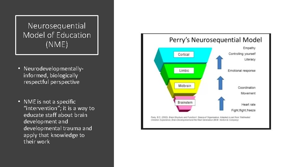 Neurosequential Model of Education (NME) • Neurodevelopmentallyinformed, biologically respectful perspective • NME is not