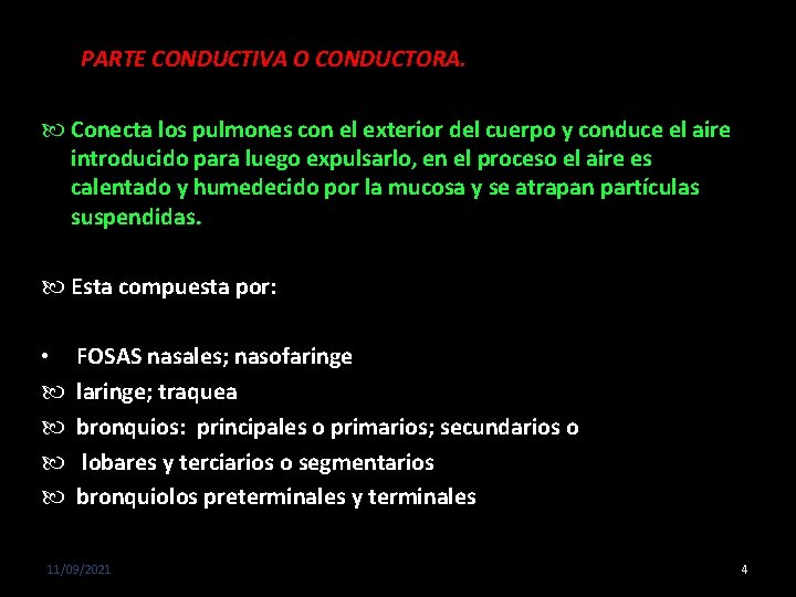PARTE CONDUCTIVA O CONDUCTORA. Conecta los pulmones con el exterior del cuerpo y conduce