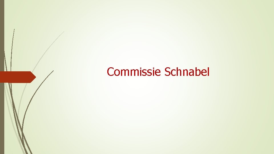 Commissie Schnabel 