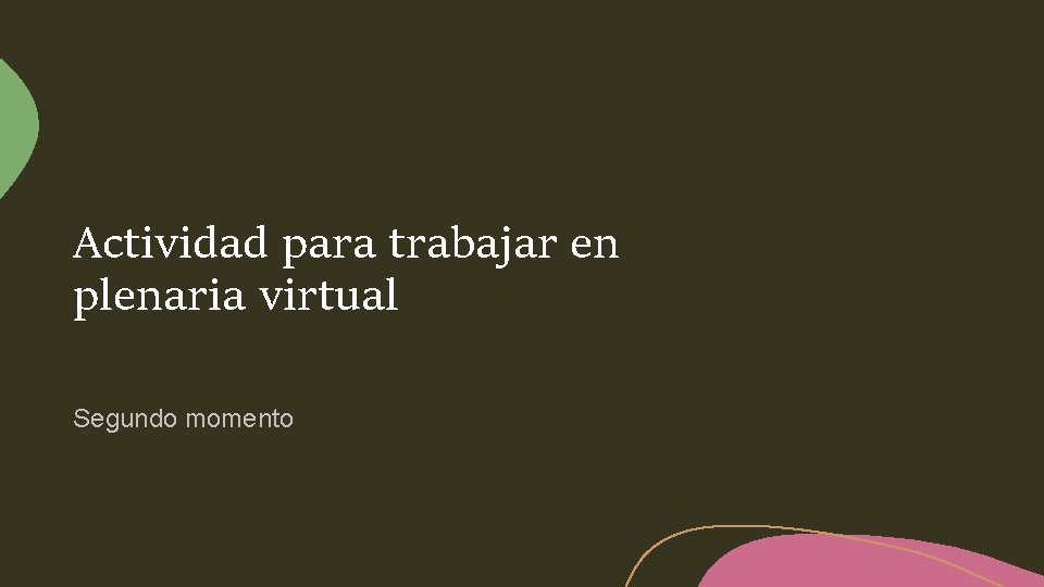 Actividad para trabajar en plenaria virtual Segundo momento 