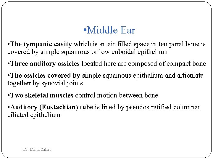  • Middle Ear • The tympanic cavity which is an air filled space