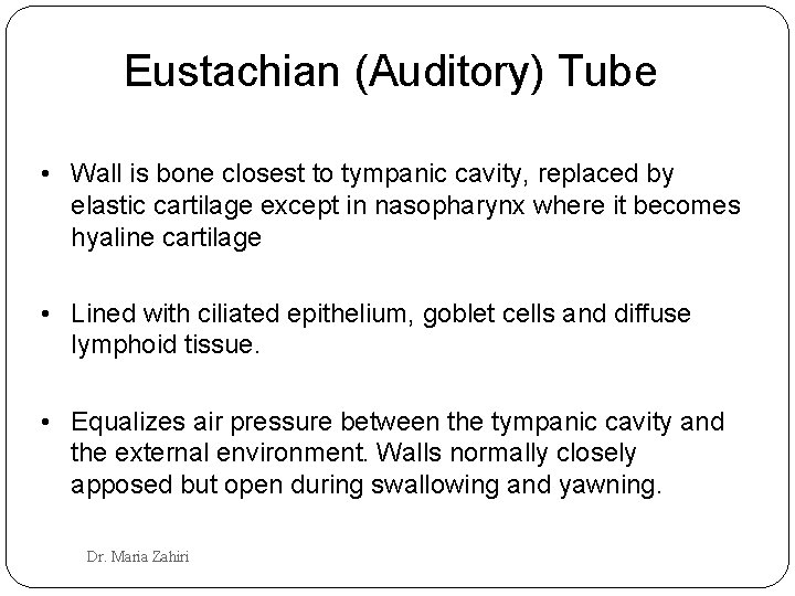 Eustachian (Auditory) Tube • Wall is bone closest to tympanic cavity, replaced by elastic