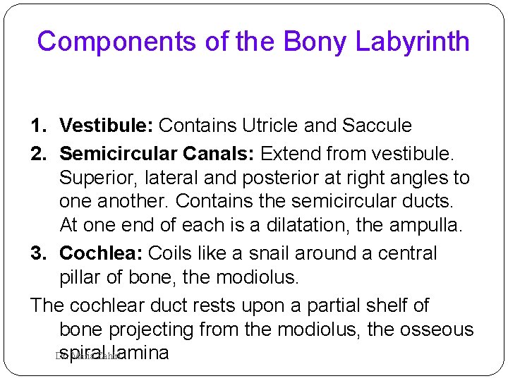 Components of the Bony Labyrinth 1. Vestibule: Contains Utricle and Saccule 2. Semicircular Canals: