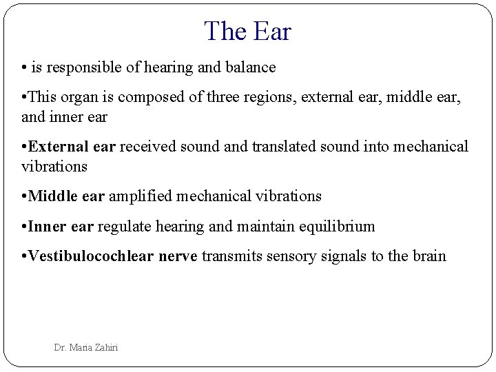 The Ear • is responsible of hearing and balance • This organ is composed