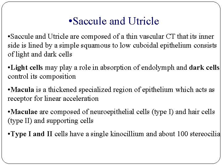  • Saccule and Utricle are composed of a thin vascular CT that its