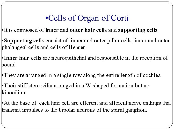  • Cells of Organ of Corti • It is composed of inner and