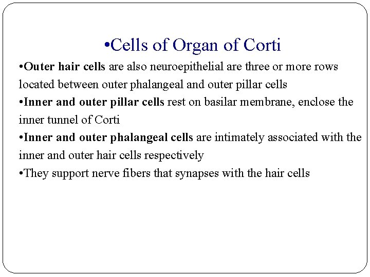  • Cells of Organ of Corti • Outer hair cells are also neuroepithelial