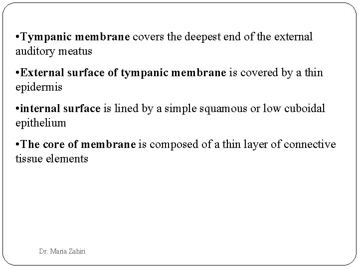  • Tympanic membrane covers the deepest end of the external auditory meatus •