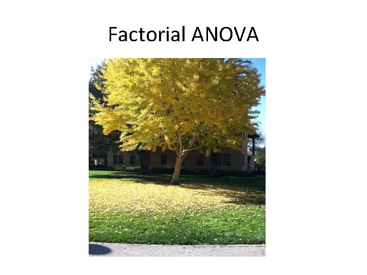 Factorial ANOVA 